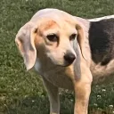 therealoxkab