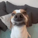 pwarkrr avatar