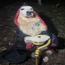 avatar tweaking Off the bathsalts