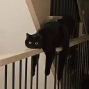 paraiben