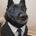 vivoempaz77777