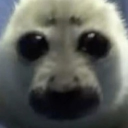 avatar Jovial Kongo (rhymes with Grug)