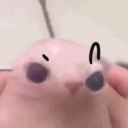 avatar Lulivj