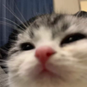 avatar Lulivj