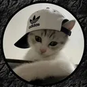 radulh