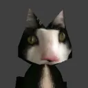 s0ur_l0tus