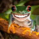 avatar Turtwigevolutiolono