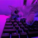 Аватар goddbay