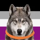 wolfguy423