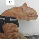 smkljg