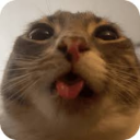 avatar Mikk