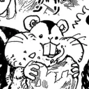 whatsop