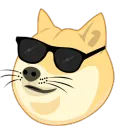 doggo4766