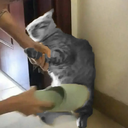 ghostfu2