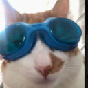 avatar Nisan Yağmur