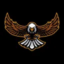 frsblackhwk4291