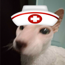 avatar shadow_cheems