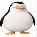 gomesapenas