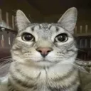 valenkawaiii