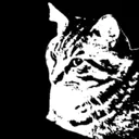 miau.world