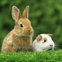 avatar The Truth Is Out There