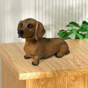 avatar mr. super DIRK