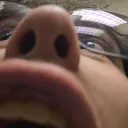 chairelz