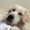 riptiddies#0655's avatar