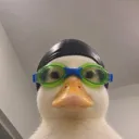 duckysmog