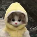 Discord Avatar