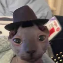 therealshmoop avatar