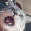 wrjisami