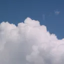 bjepis