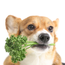 avatar энвелоуп