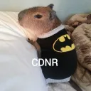 .cdnr
