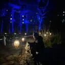 wintyboi