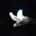avatar Crashout