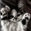 Аватар therelaxxer