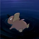 not_doug
