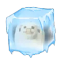 dogey2411