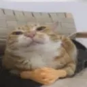 normaltsu