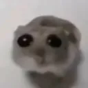 cerealwithwater1