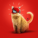 aaayejaaaye's Avatar