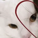 aiszaaaa