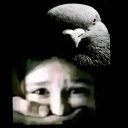 avatar 𝐫𝐚𝐧𝐭𝐨𝐭𝐭𝐡𝐮𝐬𝐢𝐢☘