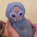 deucel