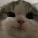 jin1111