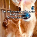 avatar SweetandSmokey