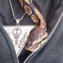 corpsephucker