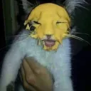 cheeseycat